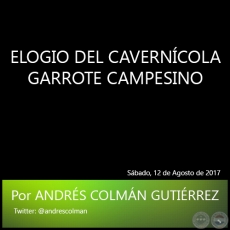 ELOGIO DEL CAVERNCOLA GARROTE CAMPESINO - Por ANDRS COLMN GUTIRREZ - Sbado, 12 de Agosto de 2017